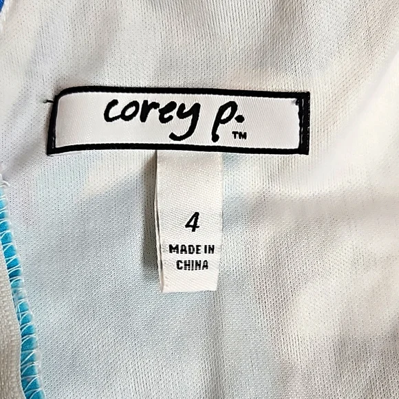 COREY P. Floral V Neck Sleeveless A-line Dress Size 4 - Picture 6 of 11